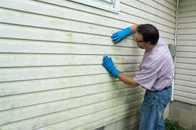 Affordable Siding Repair and Maintenance Services in Sundance, WY